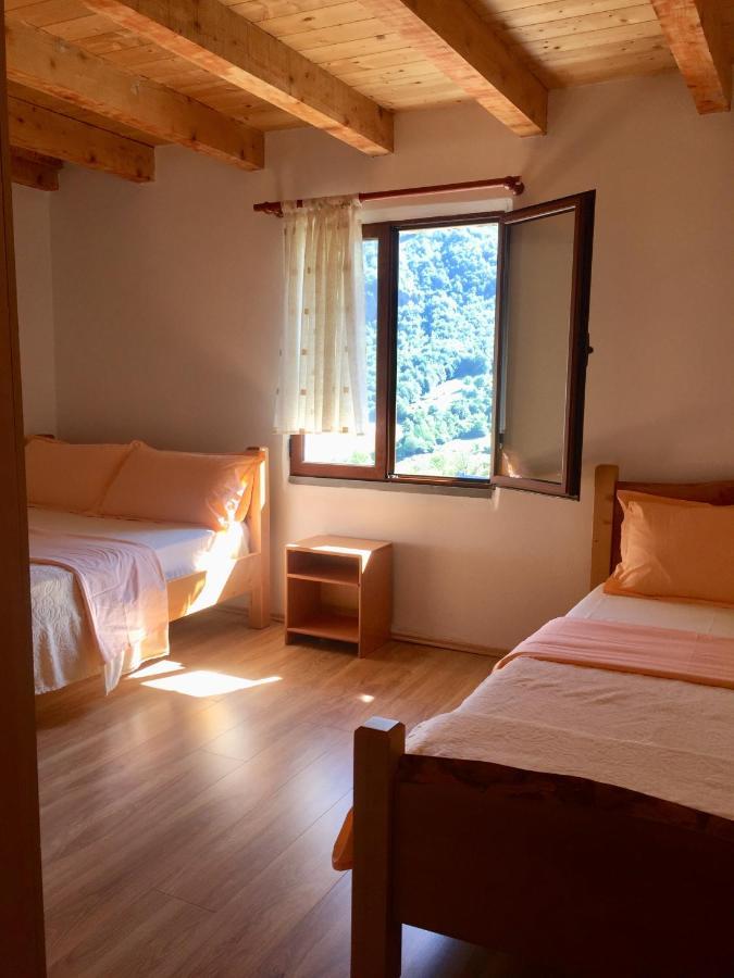 Guest House Panorama Theth Dış mekan fotoğraf
