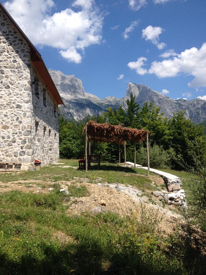 Guest House Panorama Theth Dış mekan fotoğraf