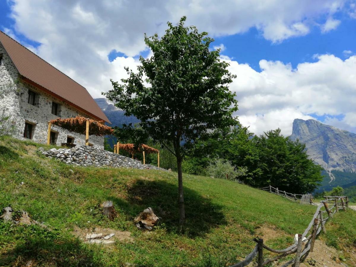 Guest House Panorama Theth Dış mekan fotoğraf